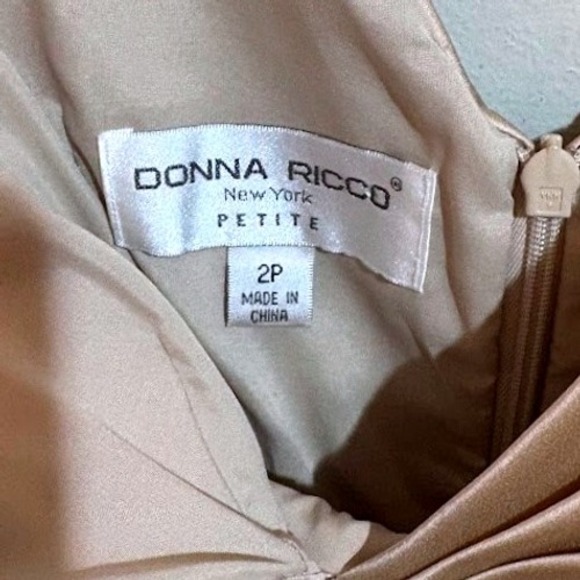 Donna Ricco New York Petite Size 2Sheath Dress Champagne V Neck Cocktail NWT - Picture 4 of 9